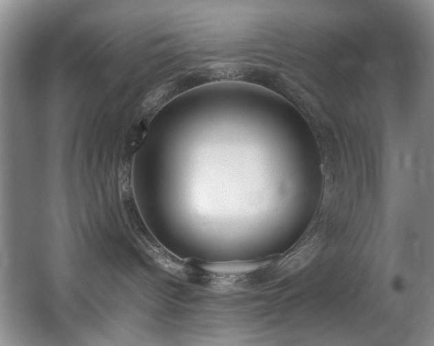 X0000067360096200603311229