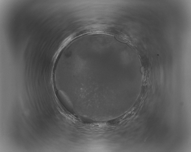 X0000067360099200603311229