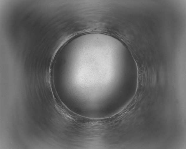 X0000067360100200603311229