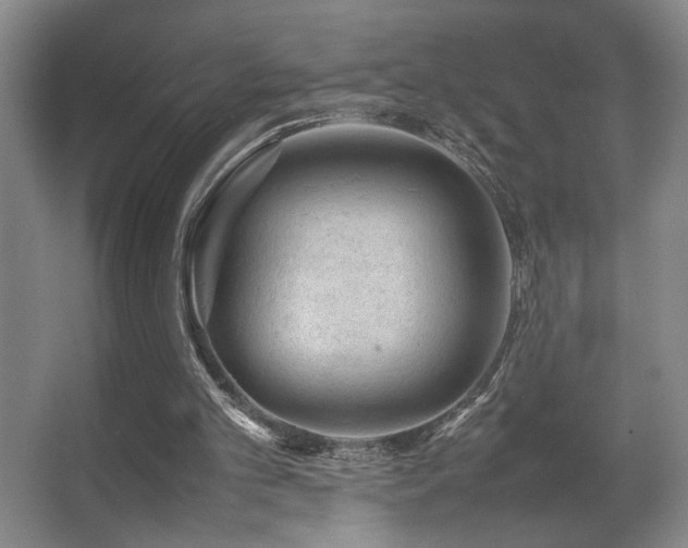 X0000067360101200603311229