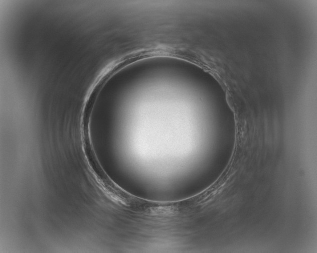 X0000067360102200603311229