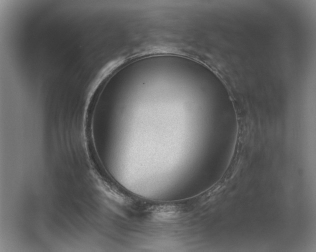 X0000067360104200603311229