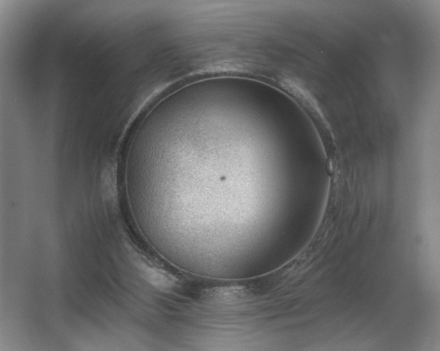 X0000067360108200603311228