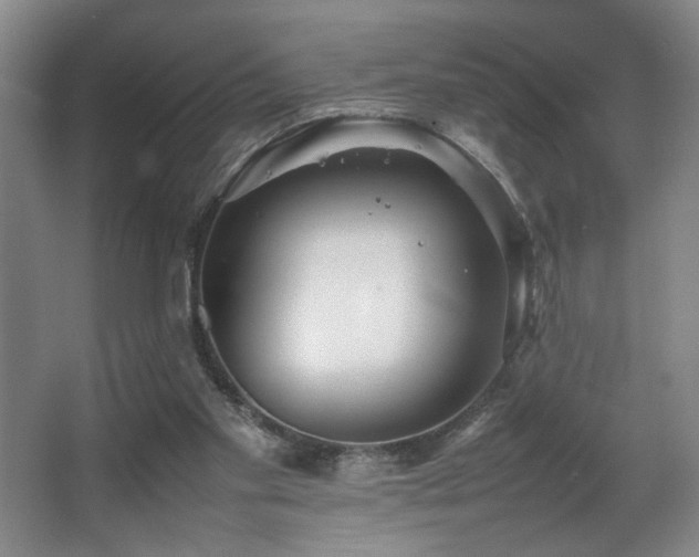 X0000067360109200603311228