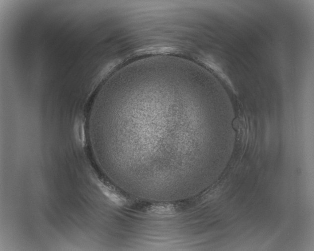 X0000067360110200603311228