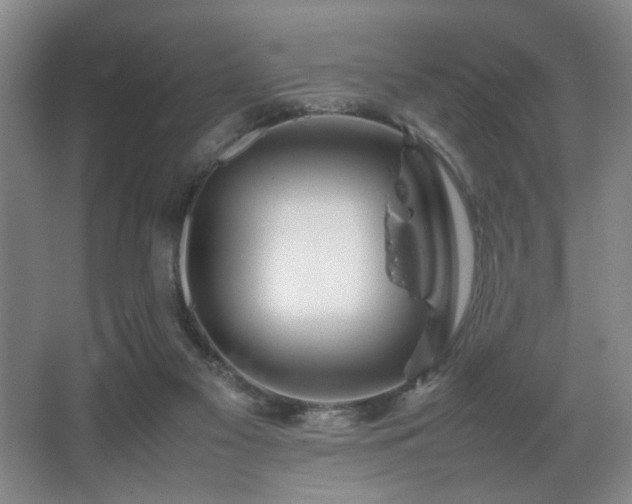 X0000067360117200603311228