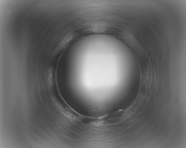 X0000067360120200603311228