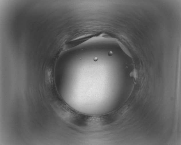 X0000067360123200603311228