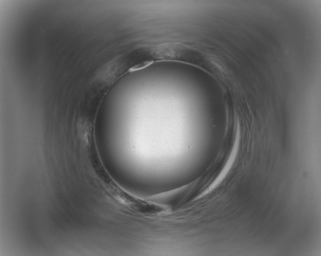 X0000067360125200603311228
