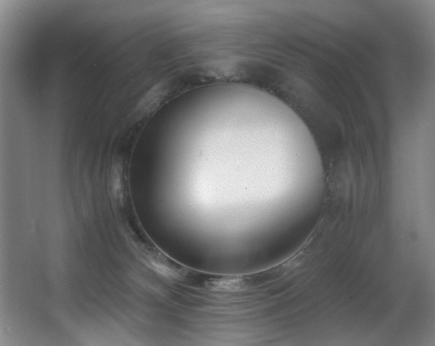 X0000067360132200603311228