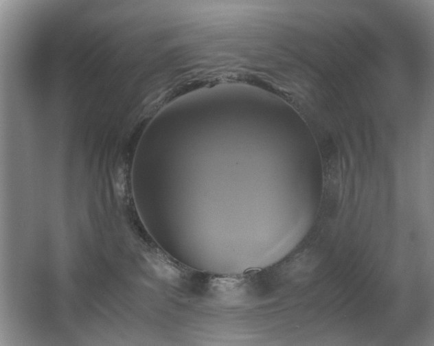 X0000067360139200603311228