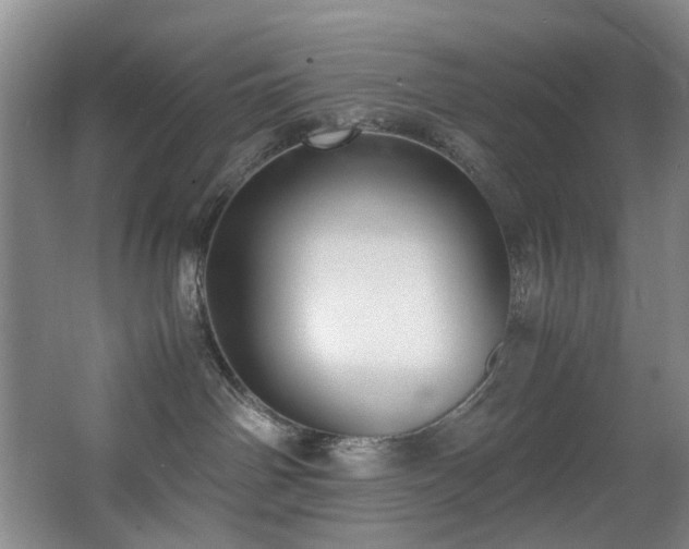 X0000067360142200603311228