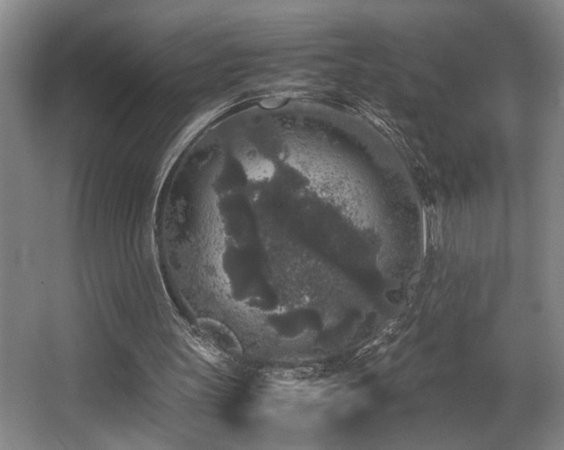 X0000067360147200603311227