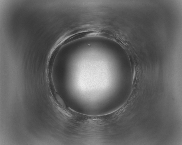 X0000067360150200603311227