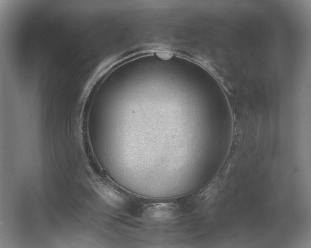 X0000067360151200603311227