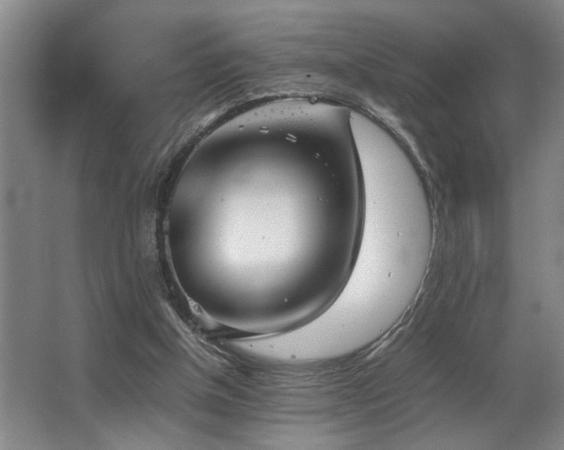 X0000067360154200603311227