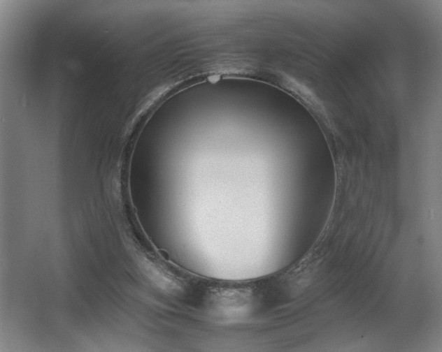 X0000067360155200603311227