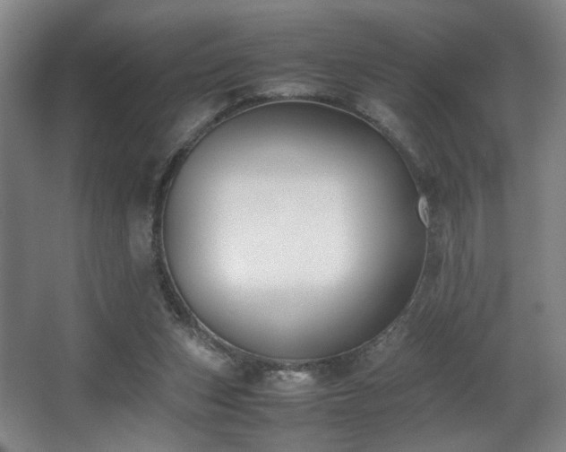 X0000067360159200603311227