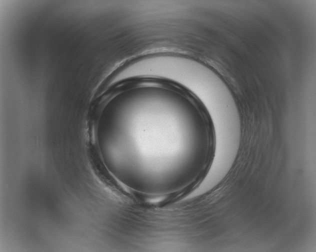 X0000067360160200603311227