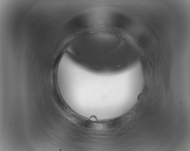 X0000067360167200603311227