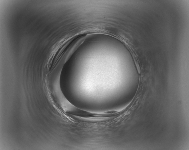 X0000067360193200603311227