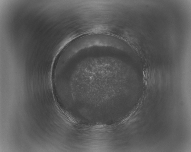 X0000067360196200603311227