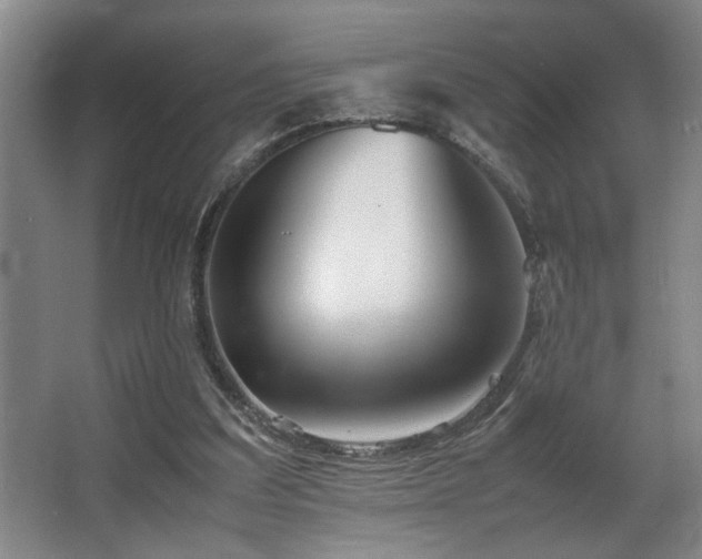 X0000067360203200603311227