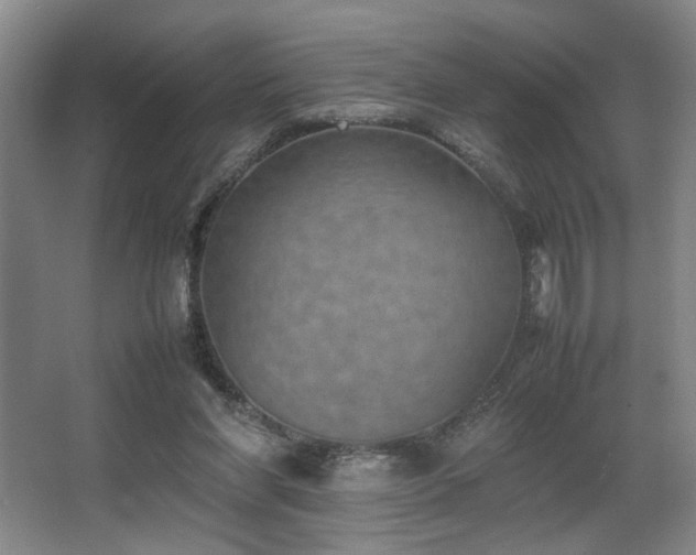X0000067360206200603311227
