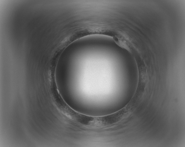 X0000067360211200603311227