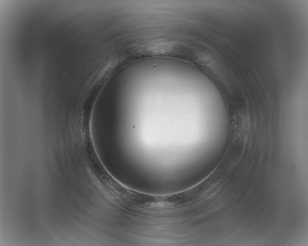 X0000067360212200603311227