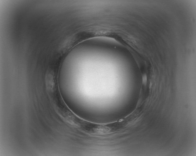 X0000067360215200603311227