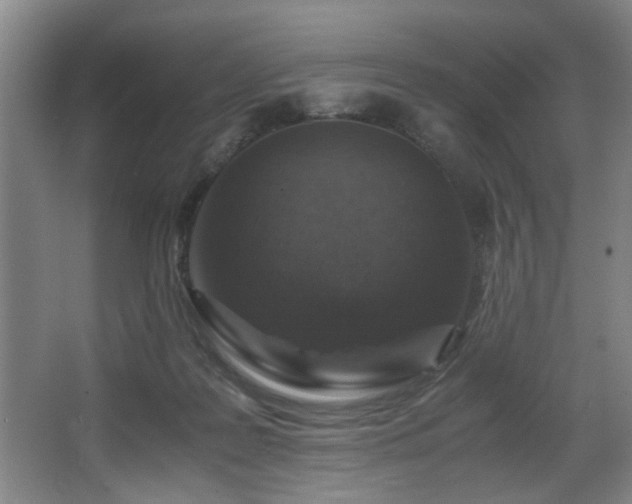 X0000067360219200603311227