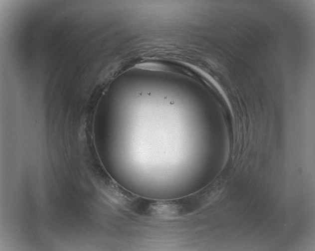 X0000067360221200603311227