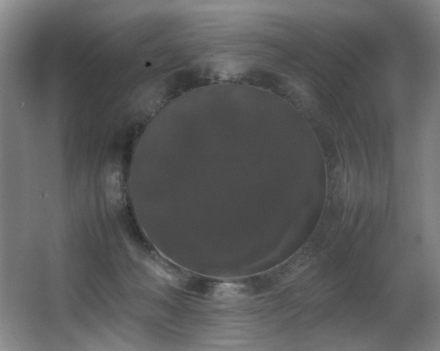 X0000067360222200603311227