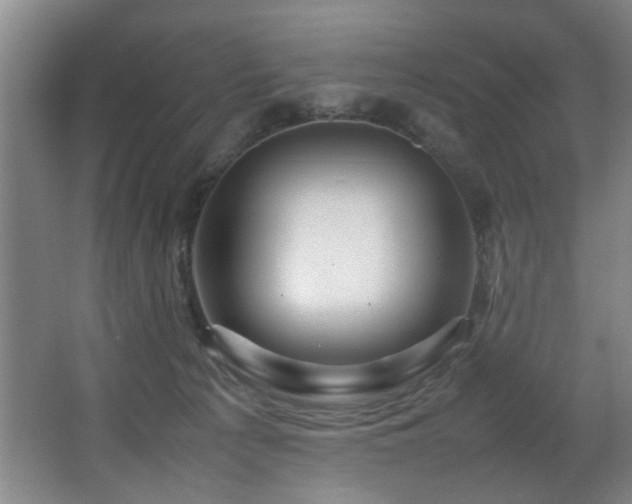 X0000067360225200603311227