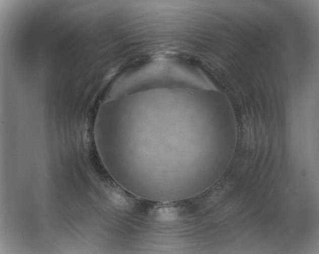 X0000067360228200603311226