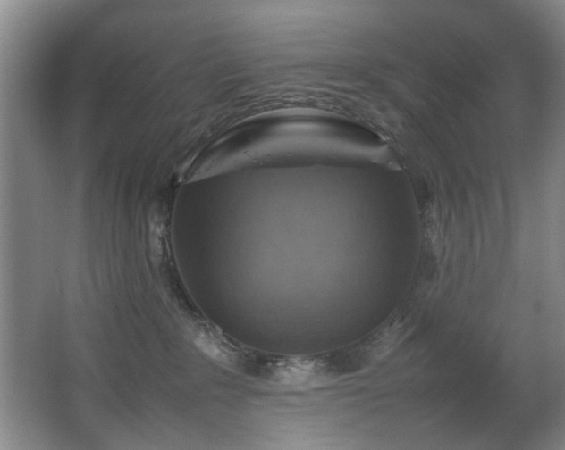 X0000067360235200603311226