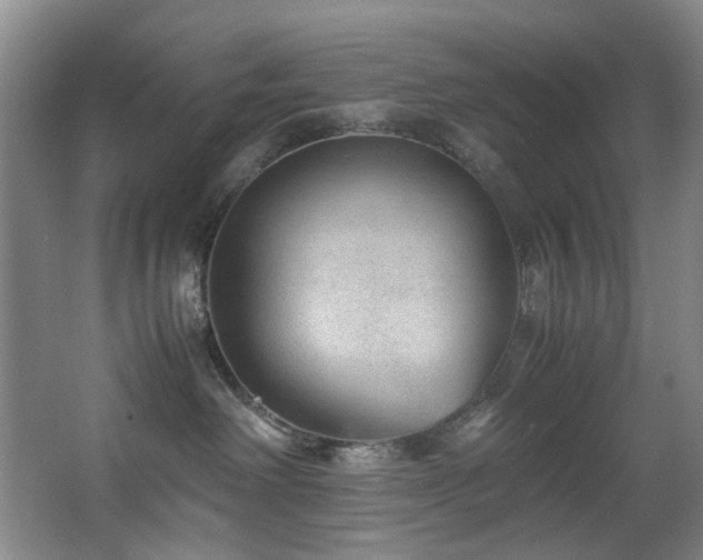 X0000067360238200603311226
