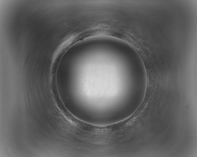 X0000067360245200603311226