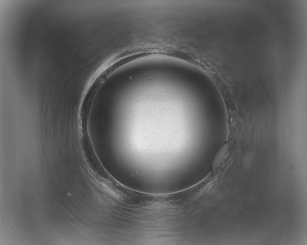 X0000067360246200603311226