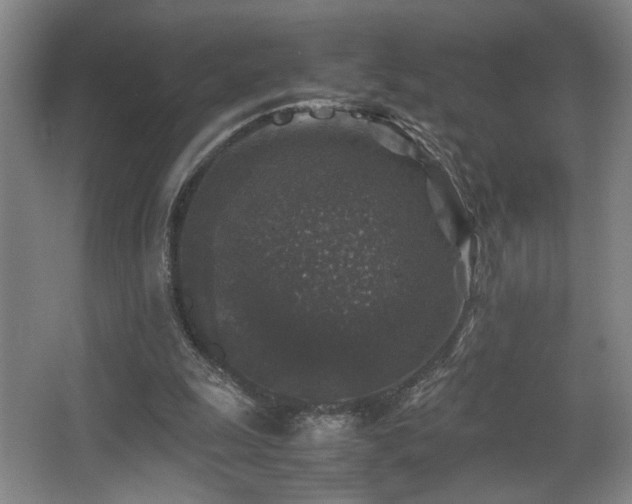 X0000067360247200603311226
