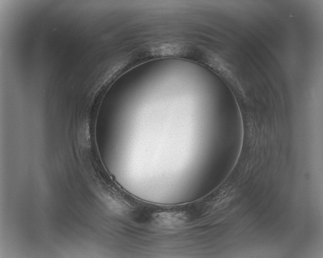 X0000067360251200603311226