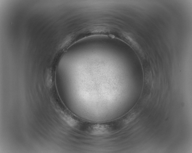 X0000067360261200603311226