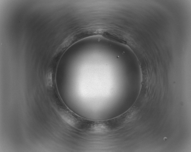 X0000067360262200603311226