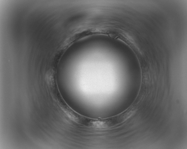 X0000067360265200603311226