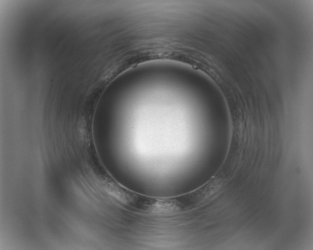 X0000067360270200603311226