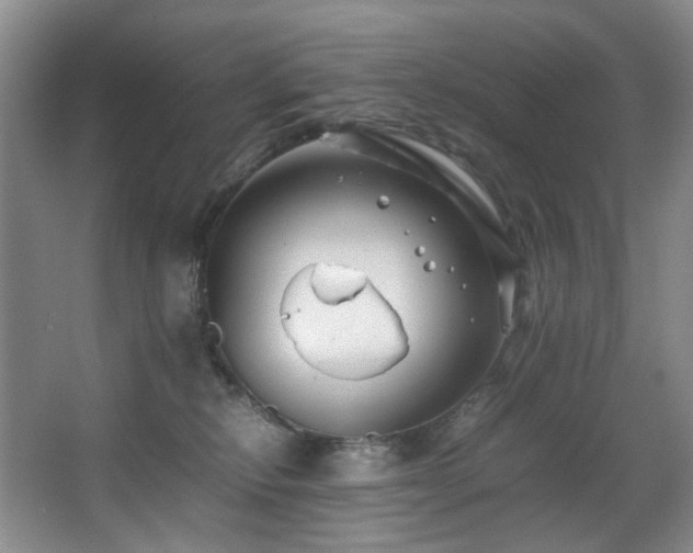 X0000067360278200603311226