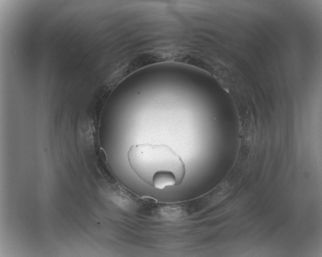 X0000067360279200603311226