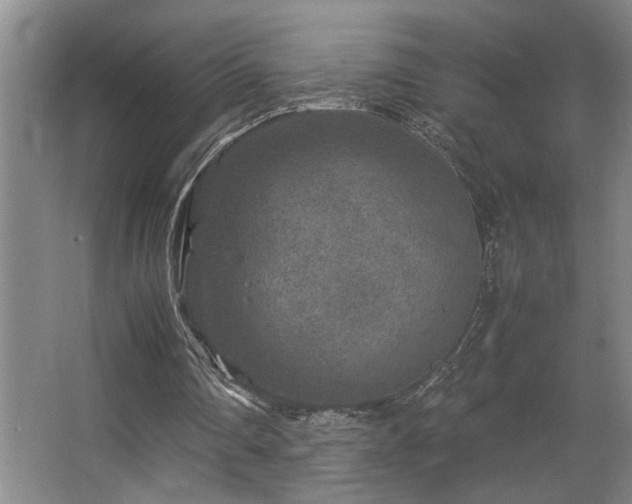 X0000067360290200603311225