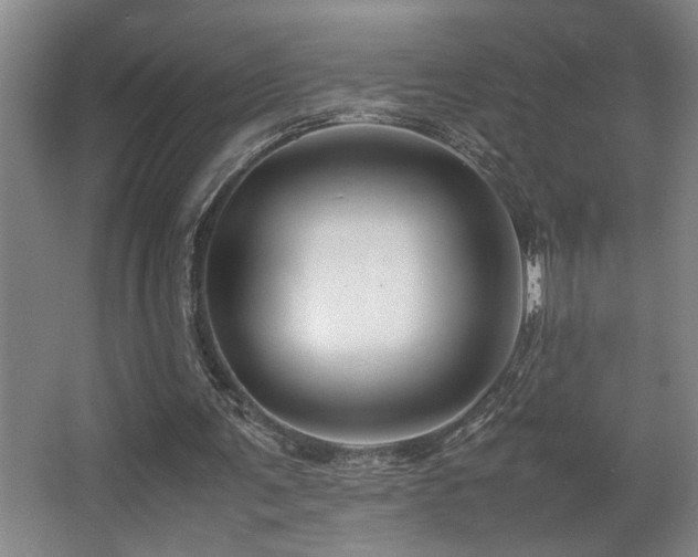 X0000067360291200603311225